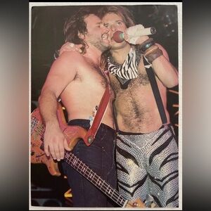 Vintage Van Halen pinup